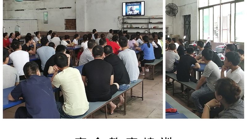 叉车证与挖掘机证：考试难度对比解析